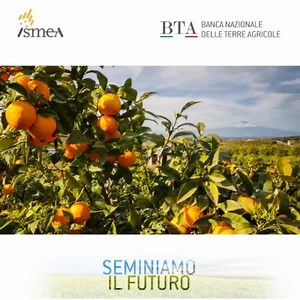 3.9K views · 1.6K reactions | Nella BANCA NAZIONALE DELLE TERRE AGRICOLE di Ismea sono in vendita 386 aziende e 10.000 ettari di terreni distribuiti sul territorio nazionale. Individua il terreno di tuo interesse direttamente online. Se sei un giovane, sono previste delle agevolazioni. Hai tempo fino al 31 MAGGIO 2020 per inviare la tua manifestazione di interesse. | Ismea - Istituto di servizi per il mercato agricolo alimentare | Facebook