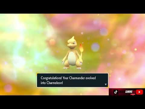 Shiny Charmander Evolves Into Shiny Charmeleon Pokémon Violet The Indigo Disk DLC