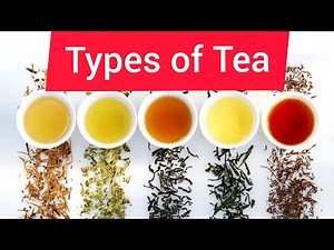 7 Types of Tea|Processing|चाय के प्रकार और उत्पादन प्रक्रिया|Camellia Seninsis|Mealomanager
