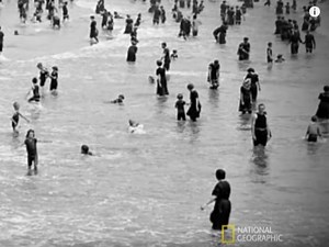 National Geographic's 'SharkFest' Examines 1916 LBI Shark Attack