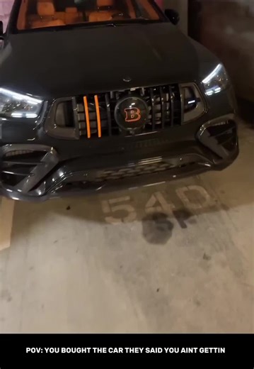 Ant Anatomy on TikTok