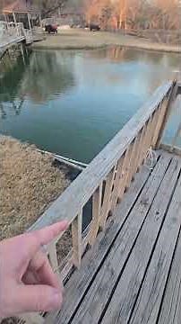 Vevor Pond Aerator Kit with pump, 2 diffusers, weighted air hose, and fittings