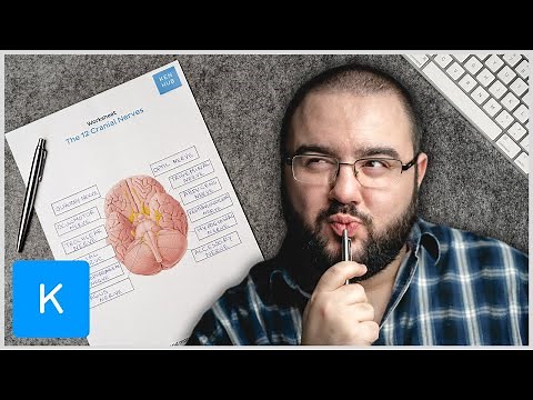 2 Easy ways to learn the cranial nerves - labeling exercises and quizzes | Kenhub