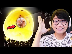 I'm Going on a POTATO Submarine... [Botanicula] Part 4