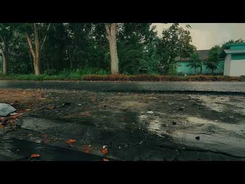 Afternoon Rain on Tin Roof 🌧️ Peaceful ASMR Sounds for Relax, Study & Sleep