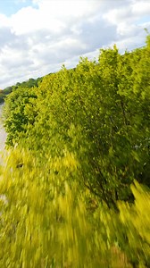 7.2K views · 98 reactions | The Mazda MX-5 and the summer sun. With the roof down, it’s all about the little things. Your best sunglasses to keep the glare away, a favourite playlist (or silence) to set the mood, and the freedom to take the scenic route. How do you make the most of every roof-down moment? | Mazda UK | Facebook