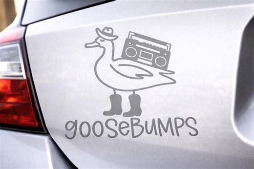 Goosebumps Vinyl Decal - Cowboy Goose With Boombox - Etsy