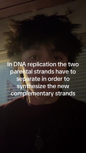 Understanding DNA Replication Basics in Biology