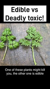 31K views · 324 reactions | Fear can be left at the door when it...