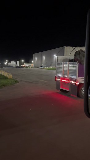 Jake Timblin - #TTI #TTItrucking #trucking #bigrigs #showtruck #oldschool #wisconainbigrigs #metalhauler #peterbilt #peterbilt379 #peterbilt389 #gliderkit #sidekit #flatbed #coverwagon