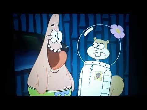 Blossom and Buttercup are laughing at Sandy Cheeks hit Patrick Star on his head