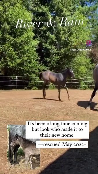 76K views · 5.5K reactions | Rain and her baby River made it to their...