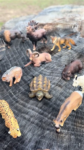 Explore Realistic Wildlife Toys for Kids' Playtime