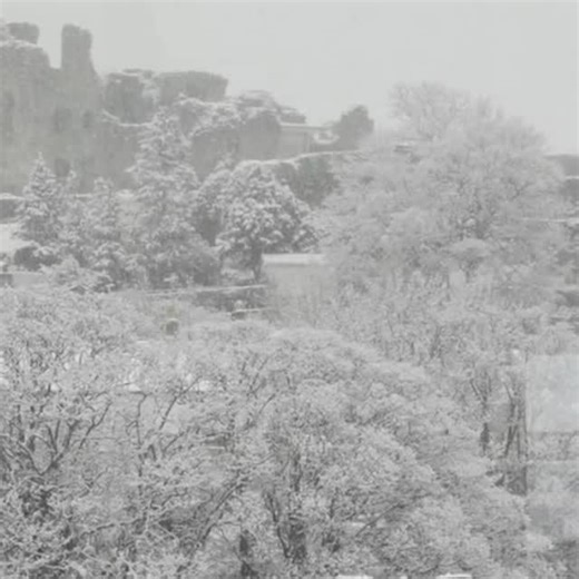Some old traditions of the festive season from Wales: 1. The Plygain: start Christmas morning at a candlelit carol service before the sunrises. Traditionally sung unaccompanied and in close harmony. 2. Hunting the wren: A wren (dead) is carried from house to house by a troop of men, dancing & singing on Boxing Day (the feast of St Steven). They have a drink at every house. 3. Holming: in its earliest form, quite brutal. On Boxing Day morning the last maiden in the house to rise is beaten with ho