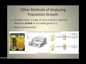 Video 5.6 Bacterial Growth & Enumeration