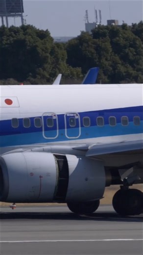 カパッと開く ANA 737−800 #Shorts