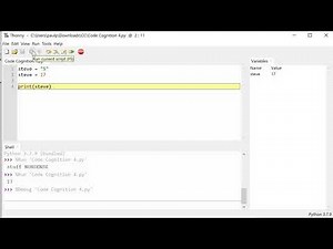 Variables, input and type conversion