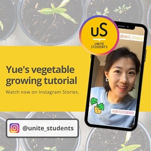 Student Ambassador Yue is showing you how to grow spring onions in her tutorial. Watch on our Instagram stories now. As with all of the takeovers from our Student Ambassadors so far, we'll save this to our highlights so you can catch up later too! uS Insta > https://bit.ly/3cqLVFY | Unite Students | Facebook