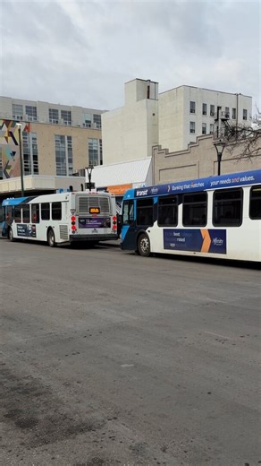 Saskatoon students share what it's like to ride the bus for free