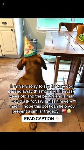 READ CAPTION 👇🏻