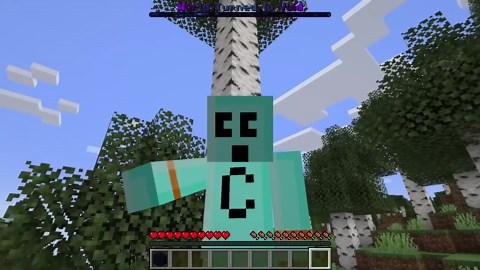 Minecraft but everything I Touch Turns to Void