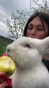 5.3K views · 141 reactions | Seara frumoasa dragii mei  | România mea | Facebook