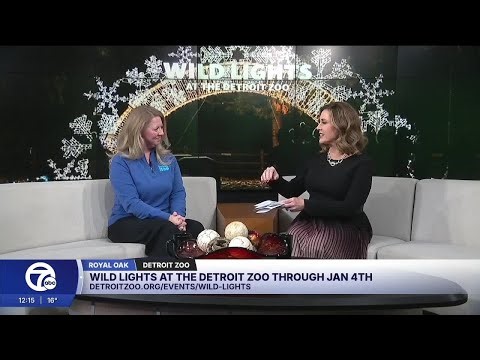 Live guest: Wild lights at the Detroit Zoo through Jan 4
