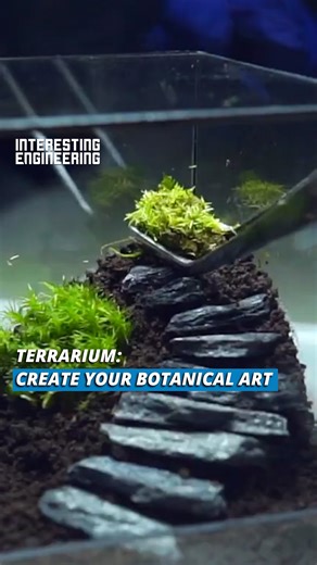 49K views · 102 reactions | The Terrarium is a glass garden, which aids in growing plants that are not easy to grow in dry air. | Interesting Engineering | Facebook