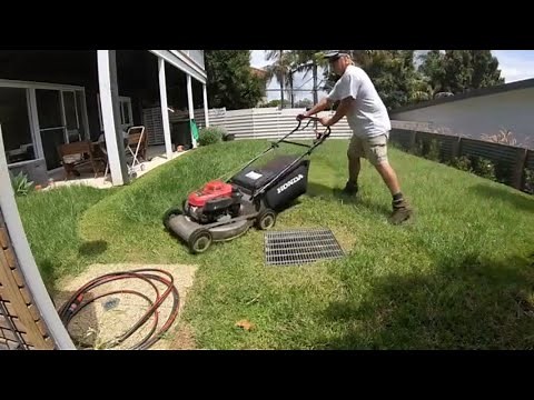 Lawn Mowing and Trimming Long grass with my Honda and Stihl gas power tools