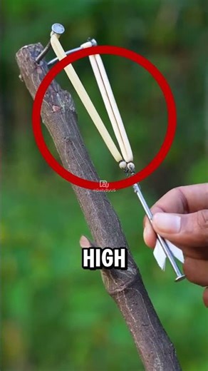 This Guy Built a Sniper Out of Tree Branch 😳 #shorts (@eco.shooter/IG)