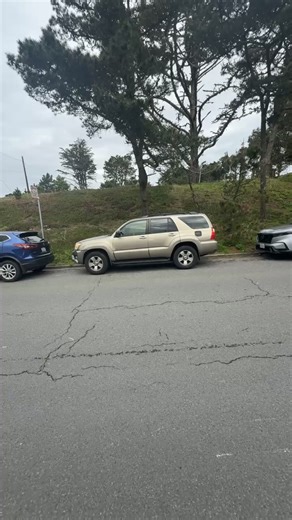 35 shares | A I SYSTEM OF REMOTE NEURAL NETWORKS HIJACKS ALL SMART...