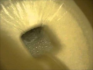 ×【TOTO】洋式便器 C454PV リム幅の違いに注目（前半現存せず）