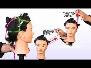 Head Parts and Grades | Professional Haircuts