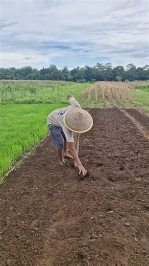 Techniques and skills for cultivating land easily and quickly-Agriculture farming #shorts