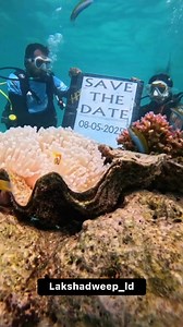 1.2K views · 15 reactions | Save the date video from the depth of lakshadweep and between the corals fishes, Variety, beautiful and cute video. #Lakshadweep #savethedate #variety #reelsviralシfb #reelsviralシ #reels #insta #wedding #marriage | Lakshadweep | Facebook
