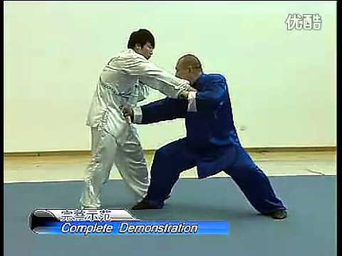 (Strike Techniques) 王战军 陈式太极拳实战技击之打法