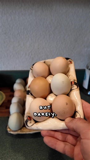 8.4K views · 24 reactions | I had a vision! A classy clay egg tray. What I got was a cracked, warped, wobbly mess that fused to my kitchenware and broke my spirit. I decoupaged some penguins on it because… why not? Well, they looked good… From across the room 沈 I'm giving it a 5 out of 10 What would you have done differently? | Scorch Marker | Facebook