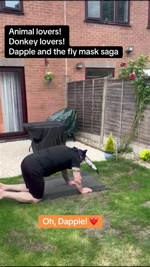 Cuentas recomendadas