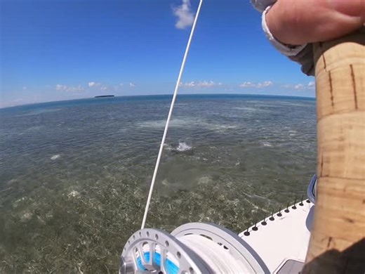 Hard to beat bonefishing in Key West #keywest #floridakeys #saltwaterflyfishing #bonefish #saltwaterfishing | Captain Mike Cyr Key West Flats and Backcountry Fishing