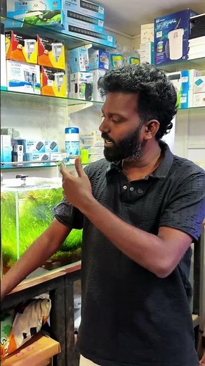 Best Aquarium Tank Size for Beginners 💧