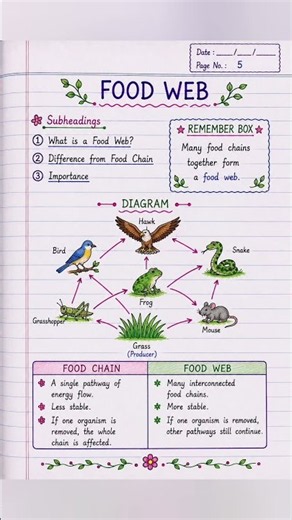 Class 8 Science Chapter 12: How Nature Works in Harmony | 🎀 The Aesthetic Notebook ✨