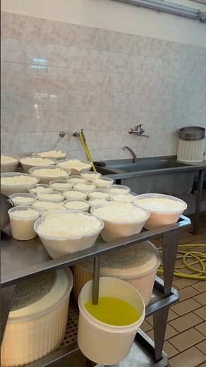 Traditional Sicilian Artisan Sheep Milk Ricotta | Salemi, Sicily