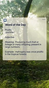 Word of the Day: PROLIFIC