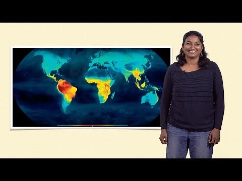 Uma Ramakrishnan (NCBS) 1: Biogeography: Studying the distribution of species across space