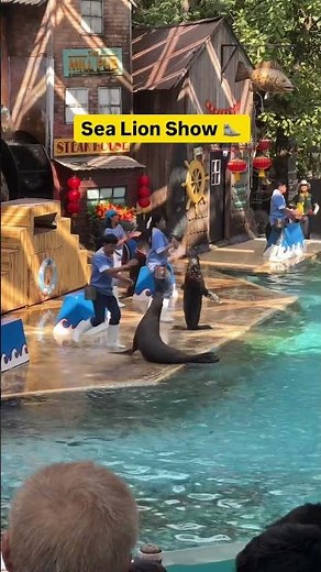 Things to do in safari world Bangkok #tinytoetrip