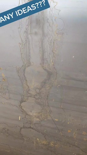 I felt a little inadequate.....#colinfurze #tunnel #giant #donkey #horse