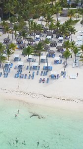Let the gentle rustle of palm trees and the warm embrace of the sun envelop you in a tropical paradise like no other. 🌴🌊 #BeCatalonia Deja que el suave susurro de las palmeras y el cálido abrazo del sol te envuelvan en un paraíso tropical sin igual. 🌴🌊 | Catalonia Bavaro Beach, Golf & Casino Resort