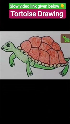 Tortoise easy drawing || How to Draw a Tortoise step by step || Simple Tortoise Drawing Colouring