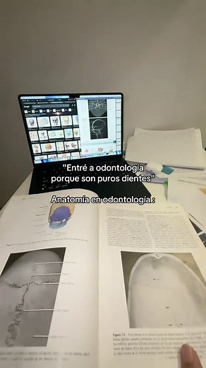 Estudiar Odontología: Anatomía y Dientes en Foco