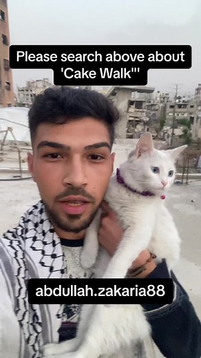 Mastering Cake Walk: Fun Tips and Gourmet Baking Techniques